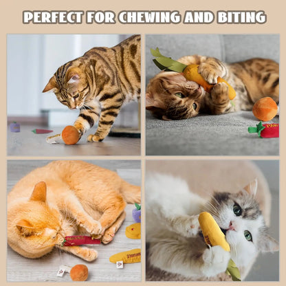 Pawsible 5-Pack Gourmet Cat Toy Set with 100% Premium Herbal Filling for Natural Stimulation, Durable Design for Teething Kittens